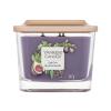 Yankee Candle Elevation Collection Fig &amp; Clove Duftkerze 347 g