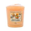 Yankee Candle Mango Ice Cream Duftkerze 49 g