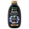 Garnier Botanic Therapy Magnetic Charcoal &amp; Black Seed Oil Shampoo für Frauen 250 ml