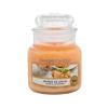 Yankee Candle Mango Ice Cream Duftkerze 104 g