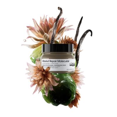 L&#039;Oréal Professionnel Absolut Repair Molecular Professional Mask Haarmaske für Frauen 250 ml