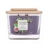 Yankee Candle Elevation Collection Fig & Clove Duftkerze 347 g