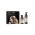 L'Oréal Professionnel Absolut Repair Molecular Glacial Utopia Limited Edition Geschenkset Shampoo Absolut Repair Molecular 300 ml + Haarserum Absolut Repair Molecular 250 ml