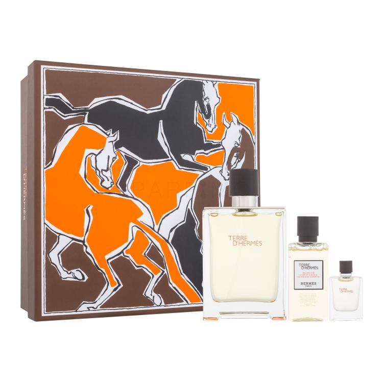 Hermes Terre d´Hermès Geschenkset Edt 100ml + 5ml Edt + 40ml Duschgel